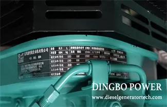 Reasons for Diesel in The Oil of PT Pump Diesel Generator