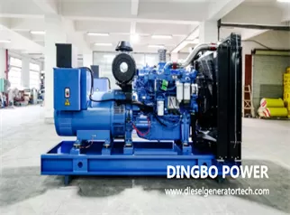 A Chenzhou Company Placed An Order for A 300kw Yuchai Diesel Generator