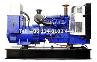 Perkins Diesel Generator Supplier