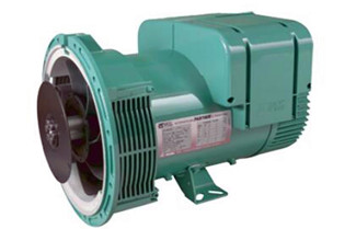 Installation and Commissioning of Leroy-Somer Alternator