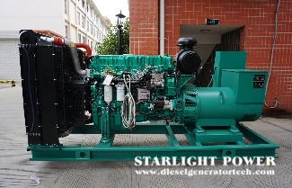 Composition of Ricardo Diesel Generator Set Fuel Pump