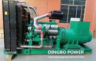 Dingbo Power Delivered A 630KW Ricardo Generator Set