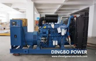 Dingbo Power Signed 800KW Yuchai Silent Box Generator Set