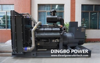 Precautions for initial startup of diesel generator